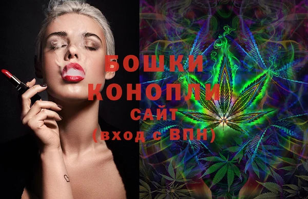 тгк Аркадак