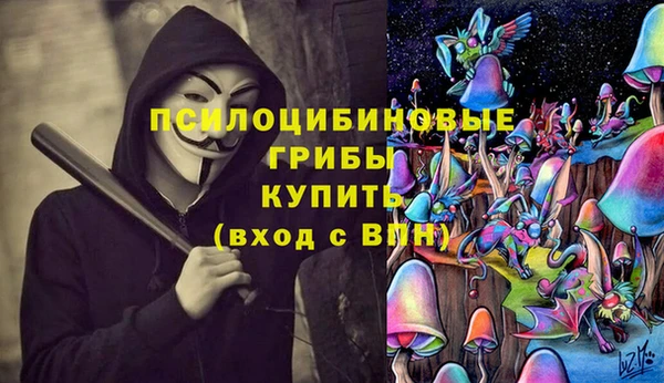 тгк Аркадак